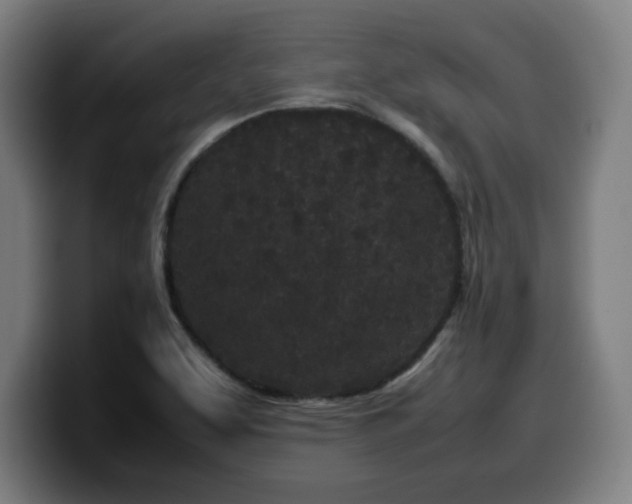 X0000099941463200805301208