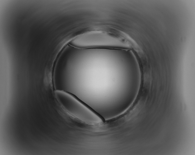 X0000099941465200805301208