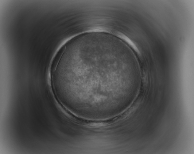 X0000099941468200805301208