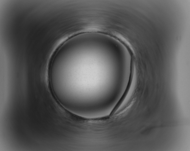 X0000099941469200805301208