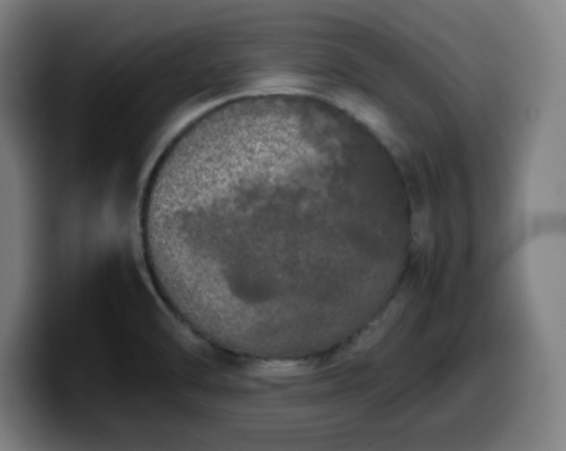 X0000099941470200805301208