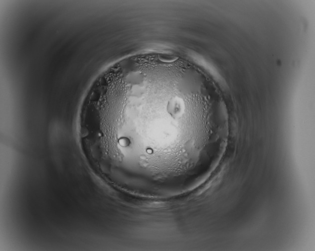 X0000099941471200805301208