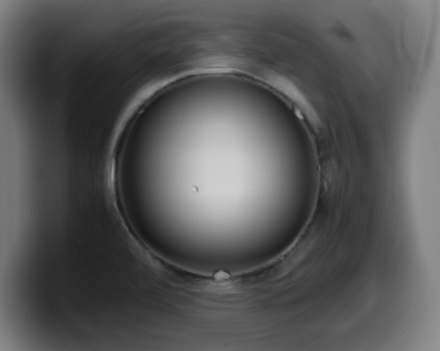 X0000099941472200805301208