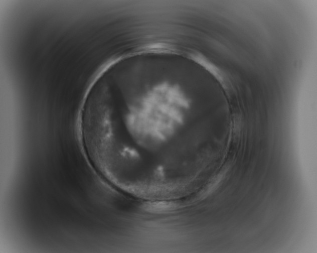 X0000099941474200805301208