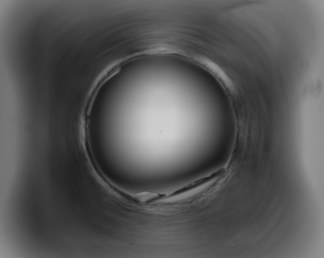 X0000099941476200805301208