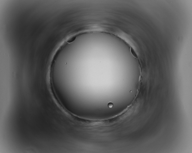 X0000099941477200805301208