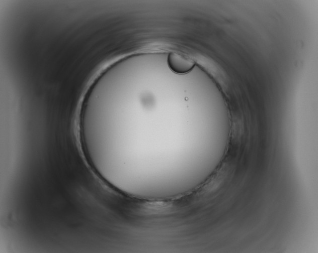 X0000099941478200805301208