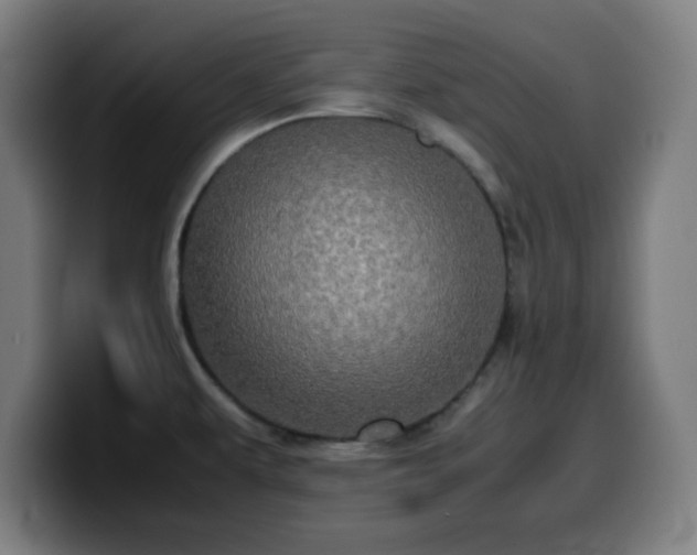 X0000099941479200805301208