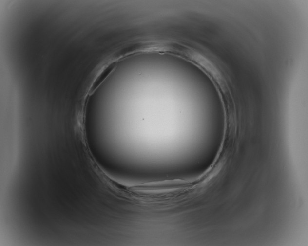 X0000099941481200805301208