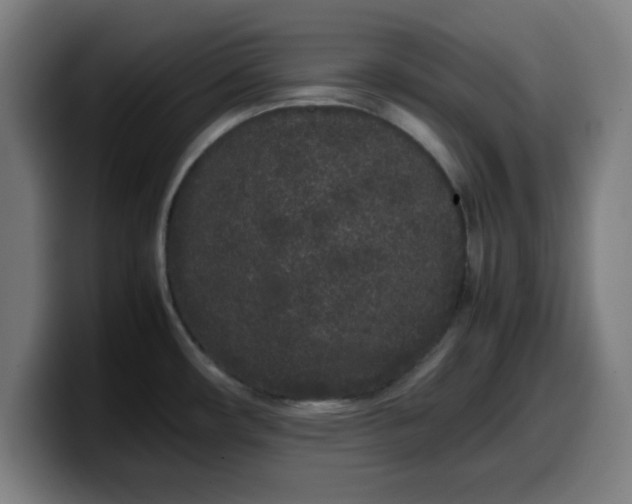 X0000099941482200805301208
