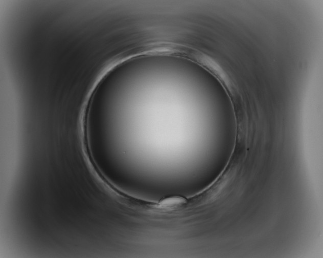 X0000099941483200805301208