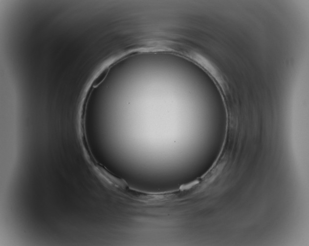 X0000099941485200805301208