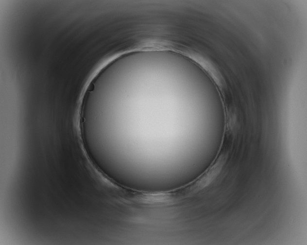 X0000099941486200805301208