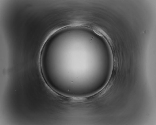 X0000099941487200805301207