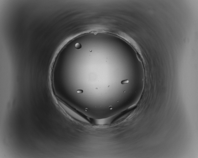 X0000099941488200805301207