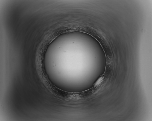 X0000099941489200805301207
