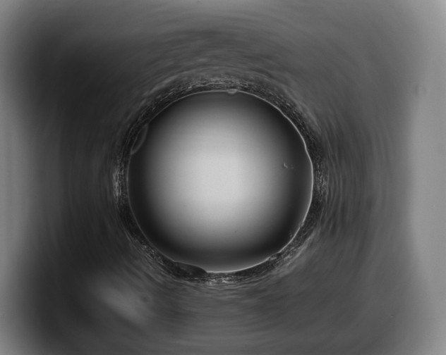 X0000099941490200805301207