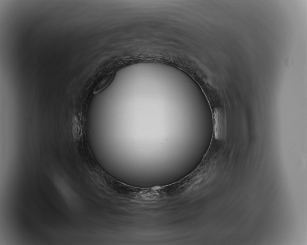 X0000099941491200805301207