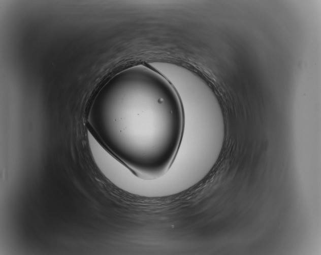 X0000099941492200805301207