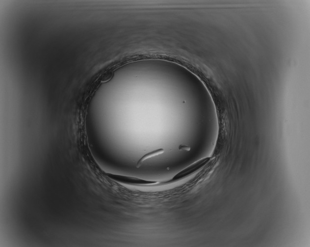 X0000099941494200805301207