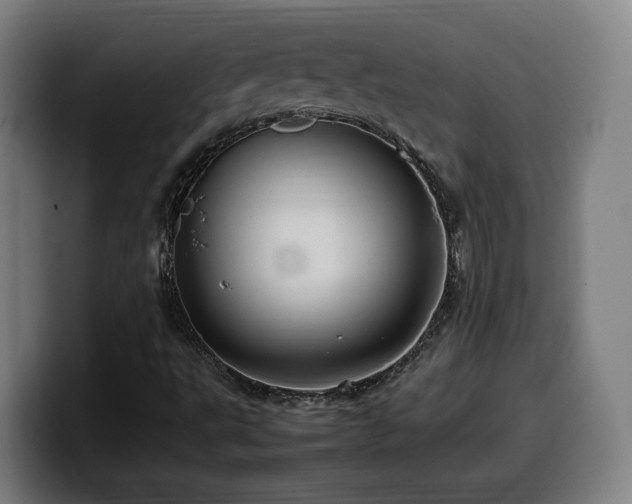 X0000099941495200805301207