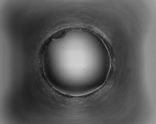 X0000099941496200805301207