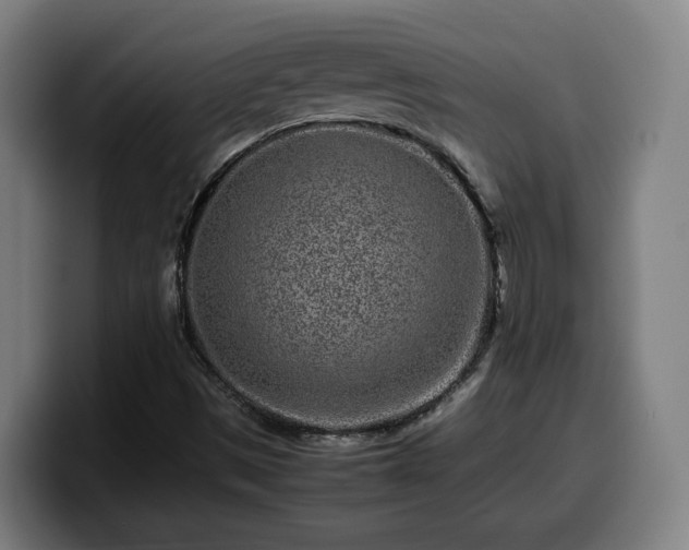 X0000099941497200805301207