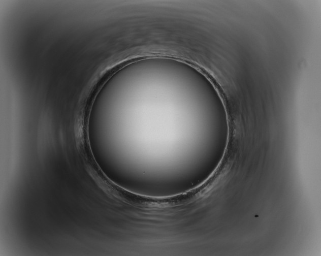 X0000099941499200805301207