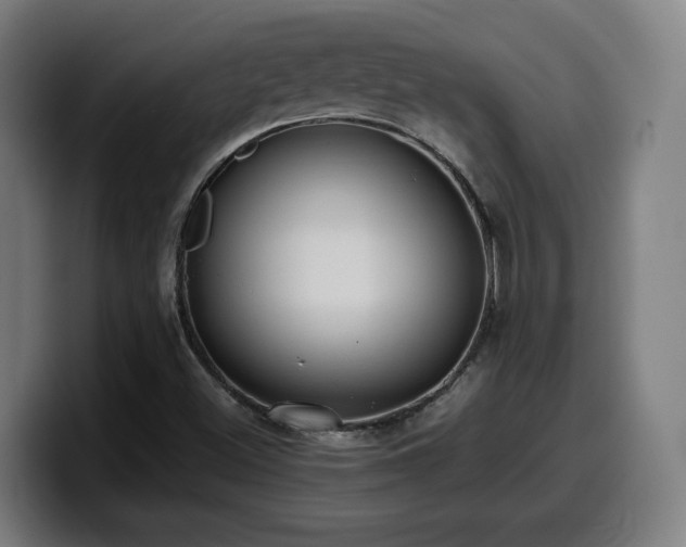 X0000099941500200805301207
