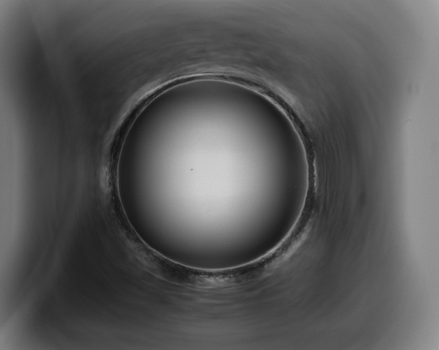 X0000099941501200805301207