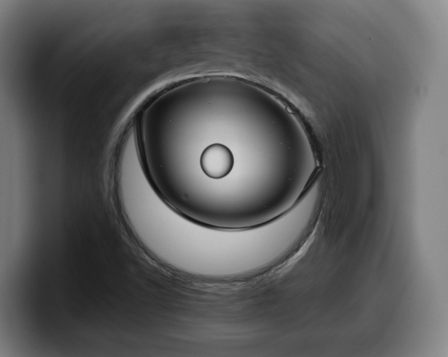 X0000099941502200805301207