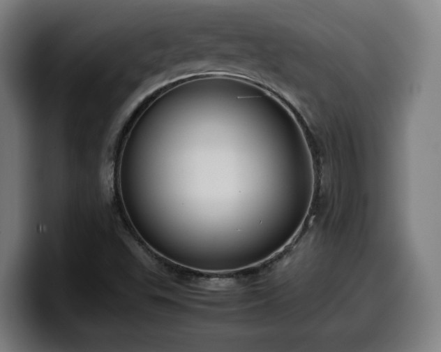 X0000099941503200805301207