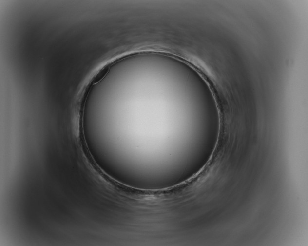 X0000099941504200805301207