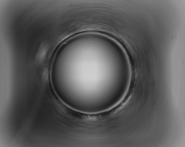 X0000099941505200805301207
