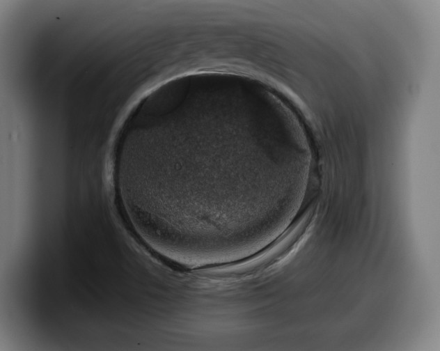 X0000099941506200805301207