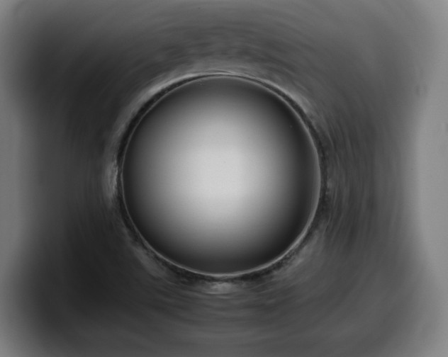 X0000099941507200805301207