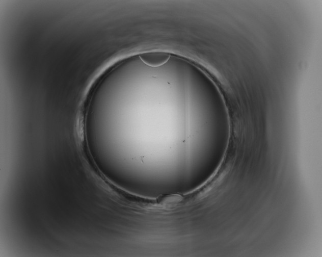 X0000099941510200805301207