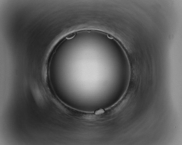 X0000099941511200805301207
