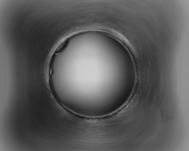 X0000099941512200805301207