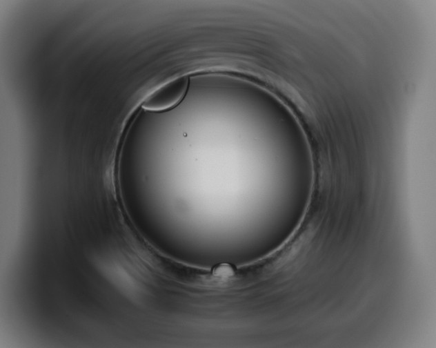 X0000099941513200805301207