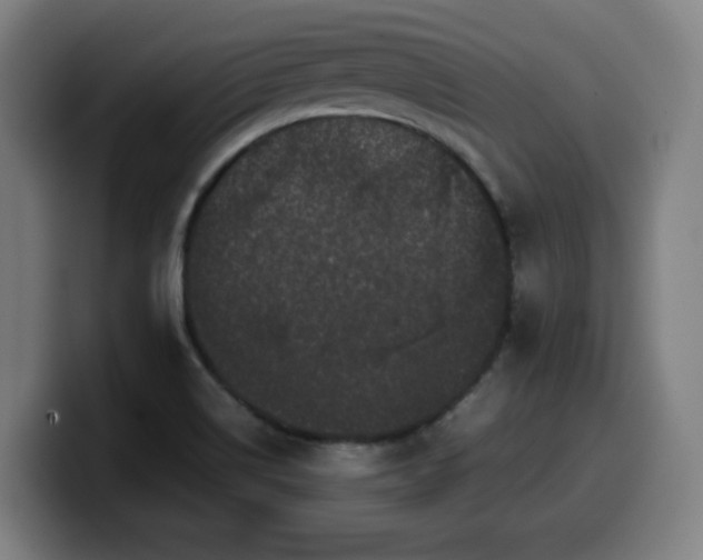 X0000099941514200805301207