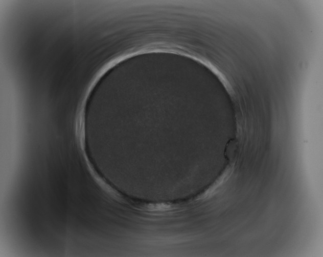 X0000099941515200805301207