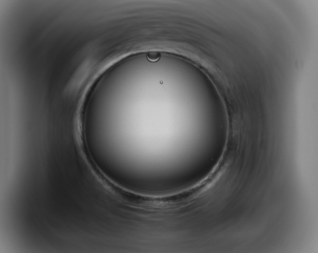 X0000099941517200805301207