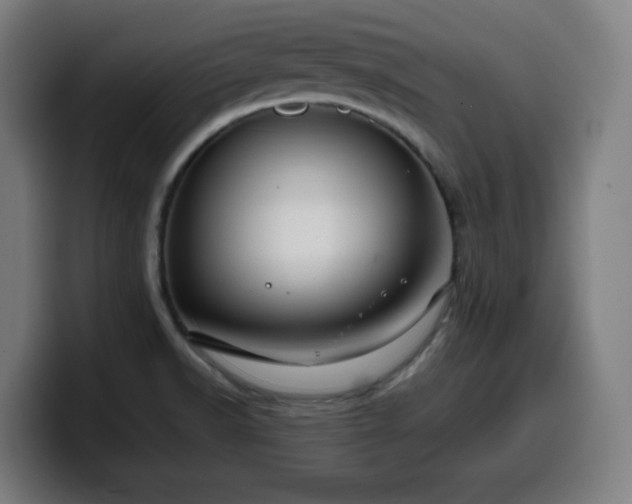 X0000099941518200805301207