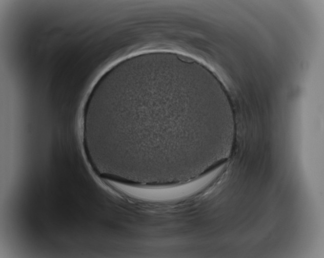 X0000099941519200805301207