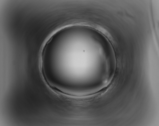 X0000099941520200805301207