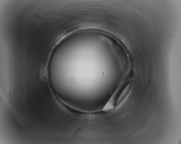 X0000099941521200805301207