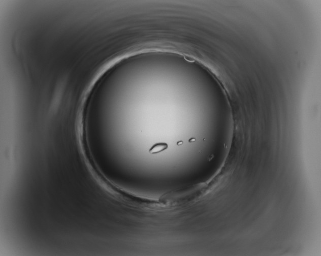 X0000099941523200805301207
