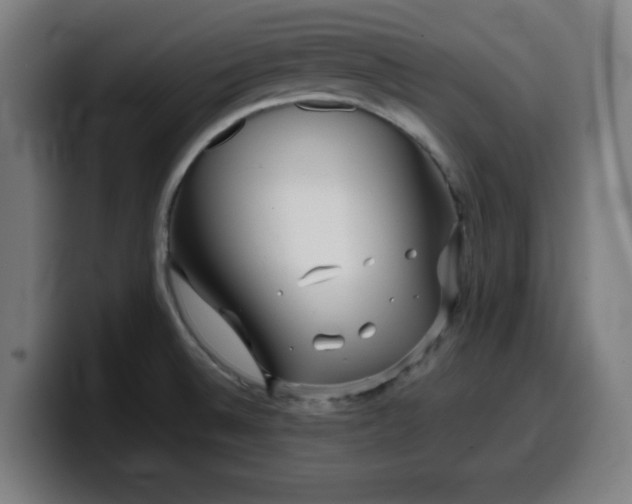 X0000099941524200805301207