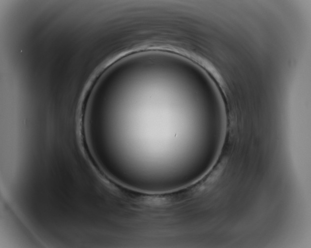 X0000099941525200805301207